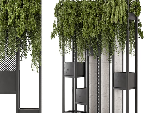  金属植物架 悬挂绿植3d模型 