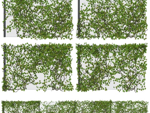  常春藤篱笆 v113d模型 