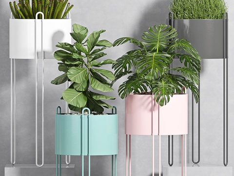  植物套装 -1043d模型 