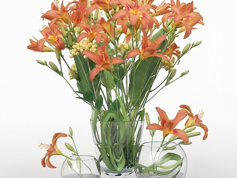  萱草_花瓶_13d模型 