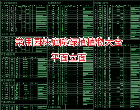 2026园林庭院植物CAD平立面图库大全cad施工图