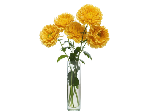  玻璃花瓶su模型 