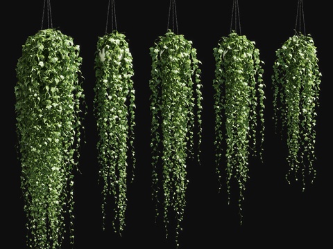  链式花盆中的常春藤 v33d模型 