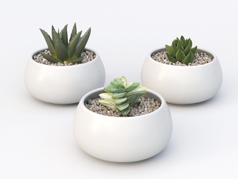 多肉植物桌3d模型 