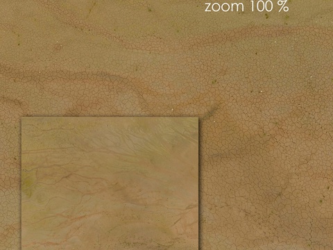  海岸线1233d模型 