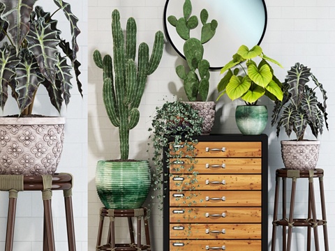  植物集锦 1233d模型 