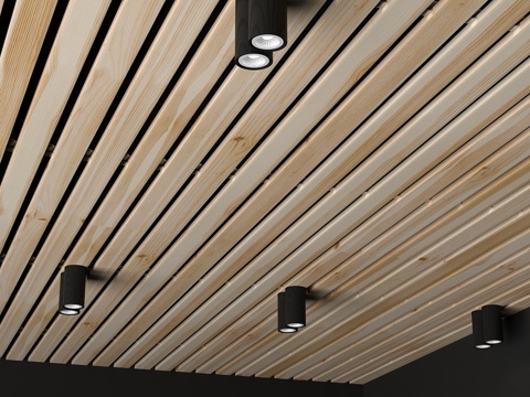  木质天花板43d模型 