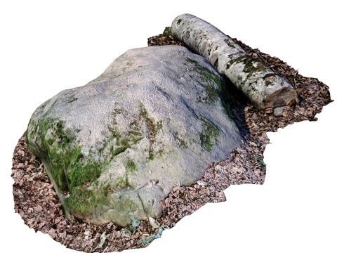  带原木的石材3d模型 