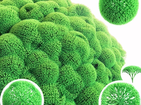  稳定苔藓3d模型 