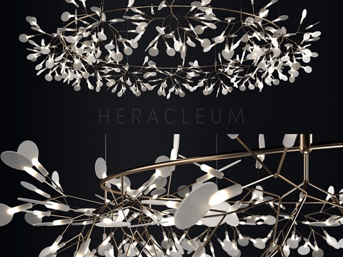  Moooi Heracleum the Big O 吊灯3d模型 