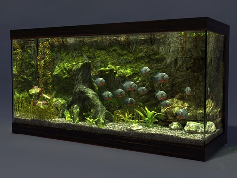  水族馆3d模型 