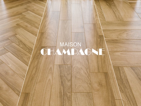  Italon Italon Maison香槟3d模型 