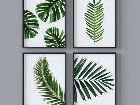  热带叶片套装3d模型 