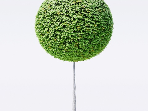  几何造型修剪树3d模型 