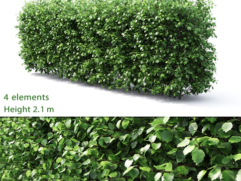  山楂树篱笆 #3 (2.1米)3d模型 