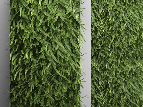  垂直花园 17. 蕨类。蕨类植物墙，墙面装饰3d模型 