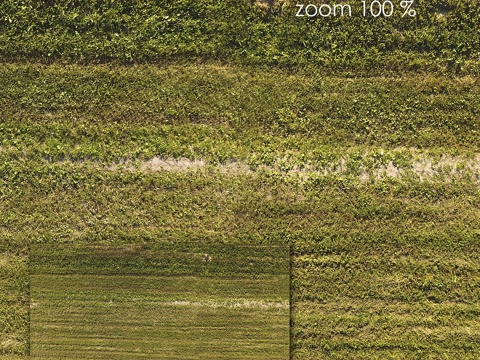  草地田野513d模型 