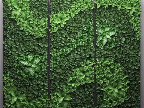  垂直花园20. 景观设计，绘画，植物墙3d模型 