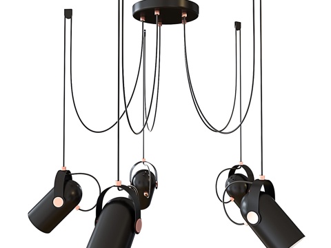  悬挂式吊灯 宠儿安波拉 2007-5P3d模型 