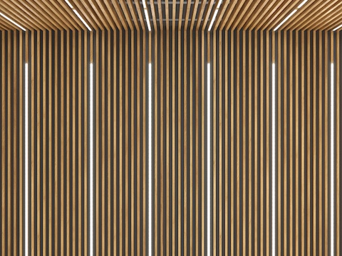  带嵌入式灯具的天花板与墙面置物架 TAGi3d模型 