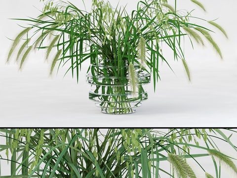  北国海燕麦与芒草绿3d模型 