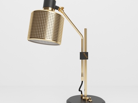  伯特·弗兰克谜题单灯台灯3d模型 