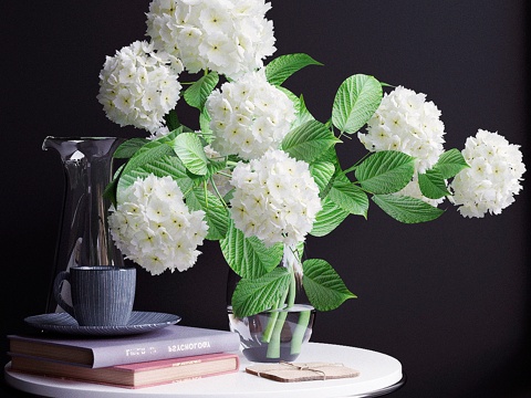  装饰套装，绣球花23d模型 