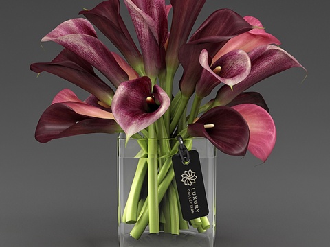  马蹄莲_04_43d模型 