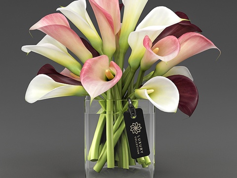  马蹄莲_04_13d模型 