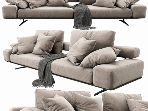  Flexform翼形B沙发3d模型 