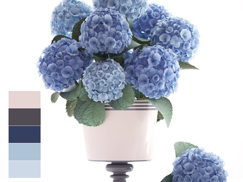  花卉系列56.绣球花，蓝色花朵，3d模型 