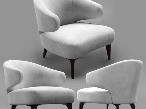  Minotti Aston白色扶手椅3d模型 