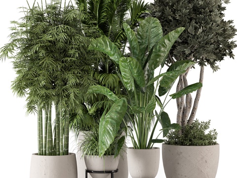  现代绿植盆栽3d模型 