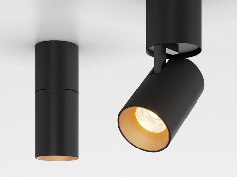  顶灯聚光灯3d模型 