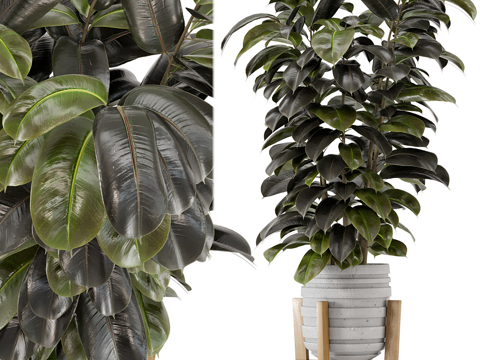  新中式绿植盆栽3d模型 