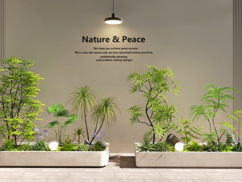  室内景观  庭院景观   植物堆   景观树   绿植组合3d模型 