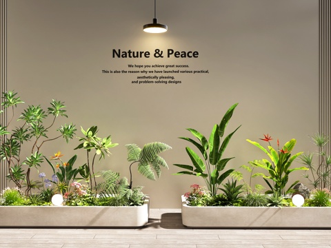  室内景观  庭院景观   植物堆   景观树   绿植组合3d模型 