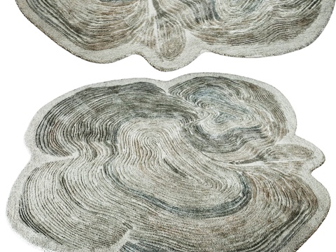  现代侘寂异形布艺地毯3d模型 