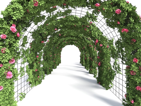  植物拱门 灌木拱门 花拱门 景观廊架 植物廊架 花拱门通道3d模型 