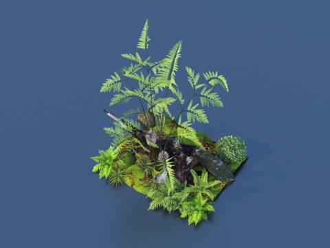  植物 石头灌木草地3d模型 