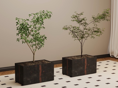  现代绿植 植物 盆栽3d模型 
