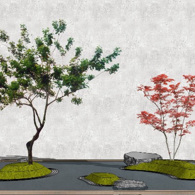  现代枫树su模型下载 