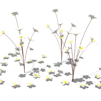  现代花草su模型下载 
