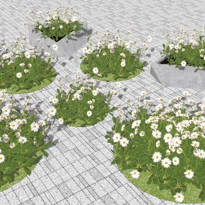  现代绿植花草su模型下载 