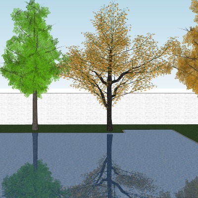  现代银杏树su模型下载 