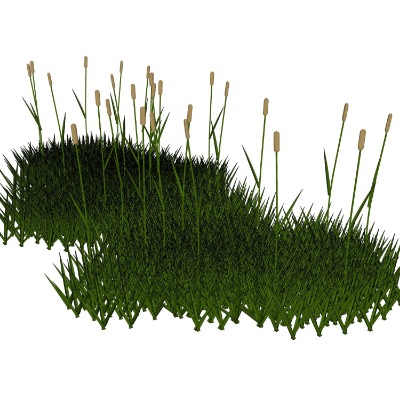  现代绿植花草su模型下载 