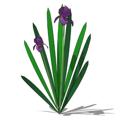  现代绿植花草su模型下载 