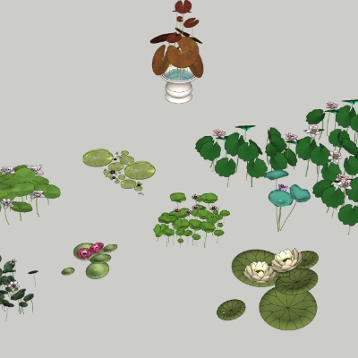  现代睡莲荷花su模型 