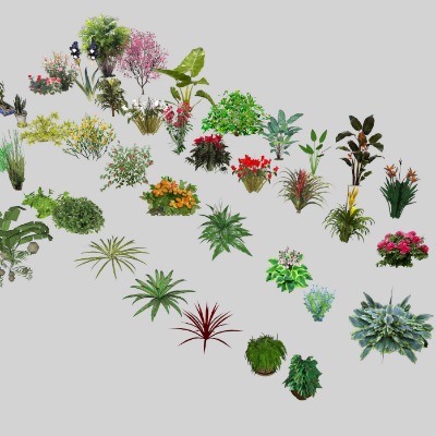  现代绿植花草su模型下载 