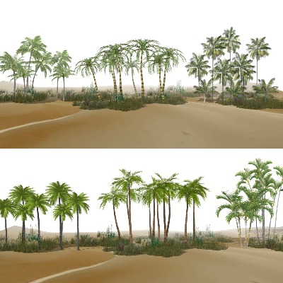  现代棕榈树热带植物su模型下载 